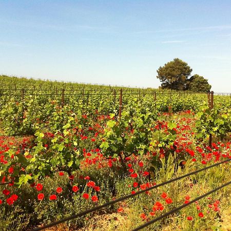 Maison De Margot Peyriac-Minervois Ngoại thất bức ảnh