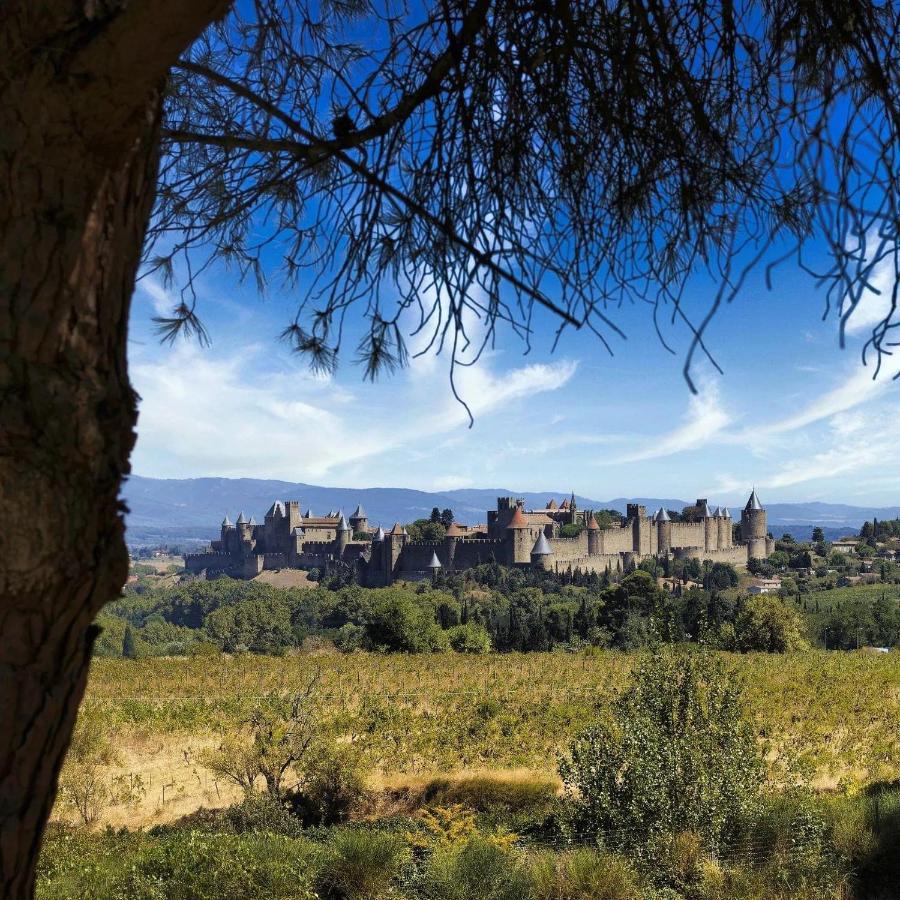 Maison De Margot Peyriac-Minervois Ngoại thất bức ảnh