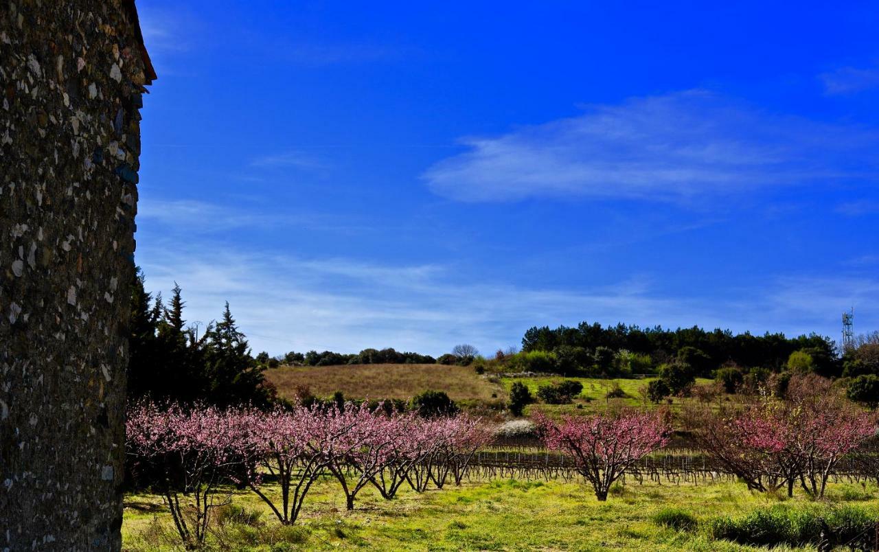 Maison De Margot Peyriac-Minervois Ngoại thất bức ảnh