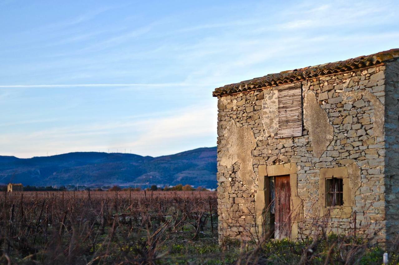 Maison De Margot Peyriac-Minervois Ngoại thất bức ảnh